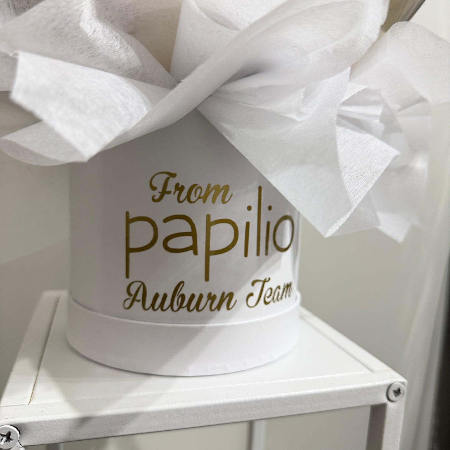 Surprise Money Balloon Gift Box – Pop Balloon to Reveal Cash