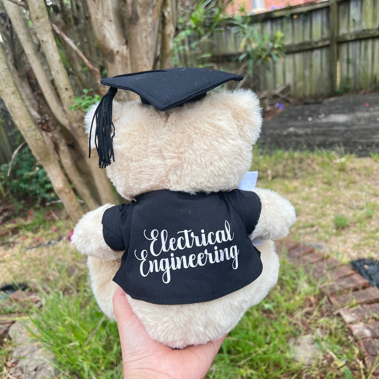 Graduations Bear