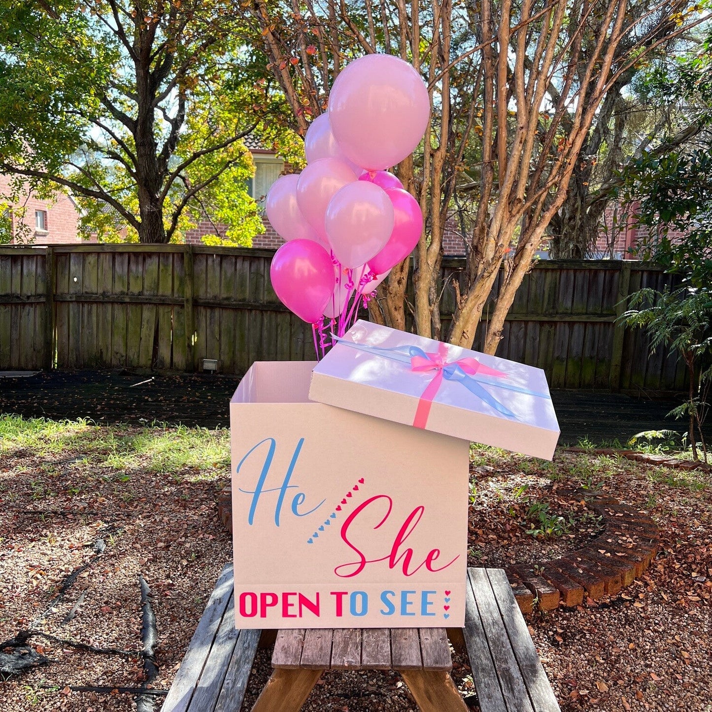 Gender Reveal Surprise Jumbo Box