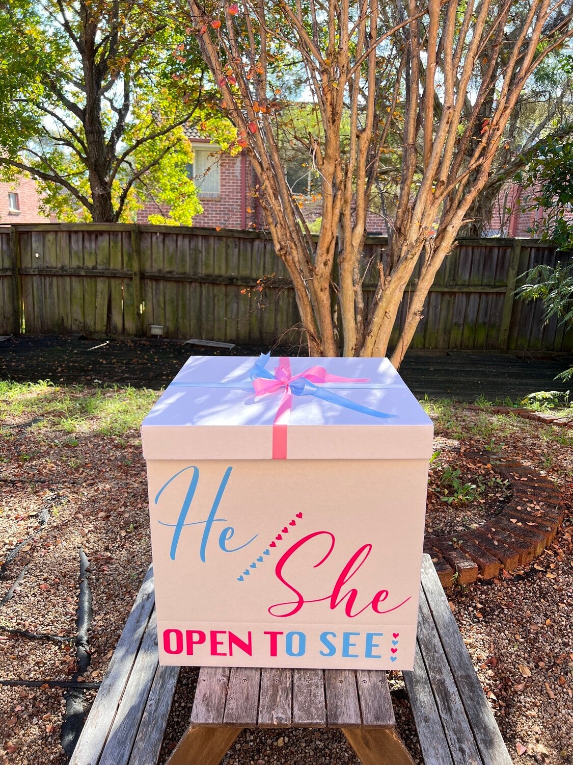 Gender Reveal Surprise Jumbo Box